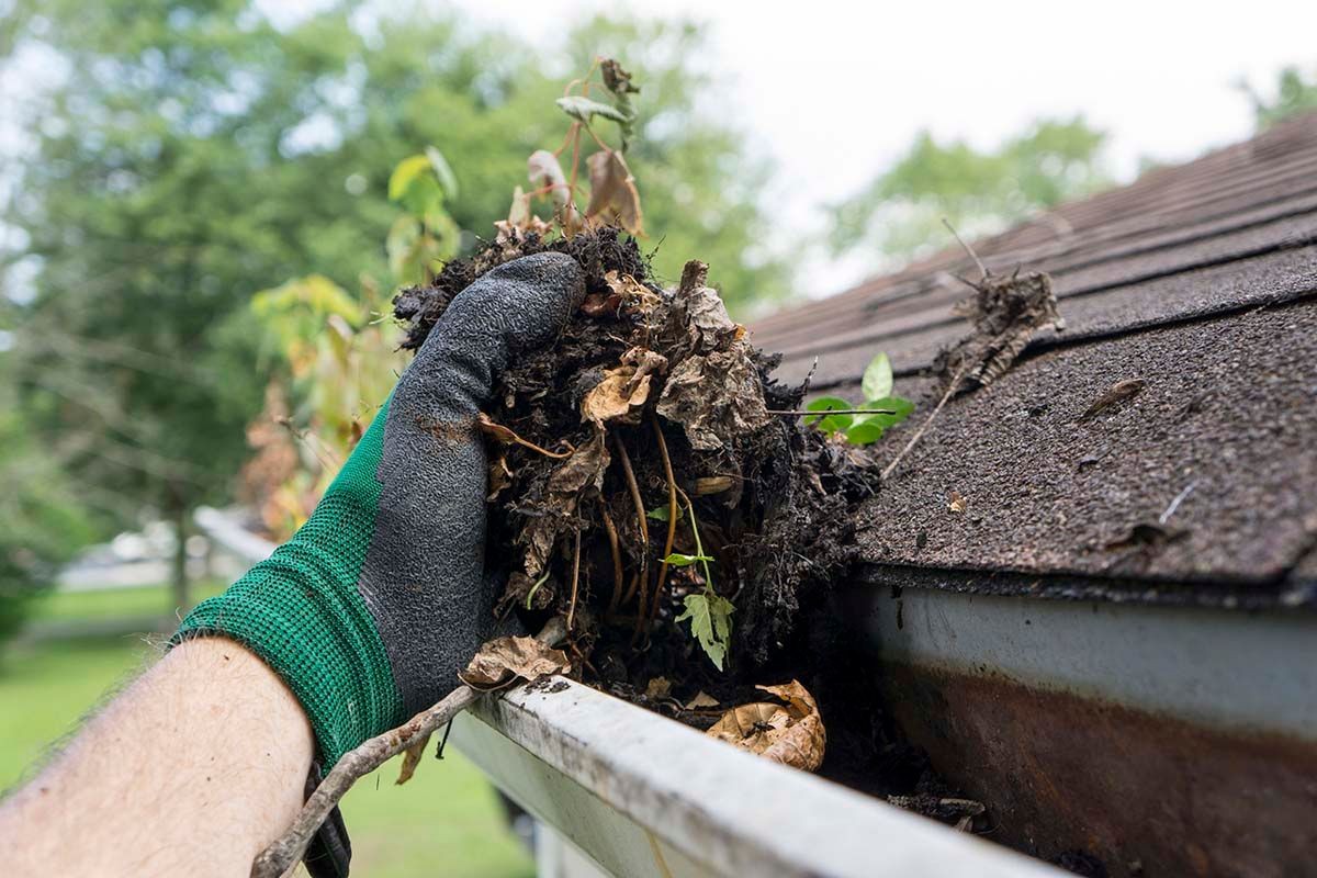 Person wearing a glove cleaning out leaves and debris from a house gutter on a roof edge.